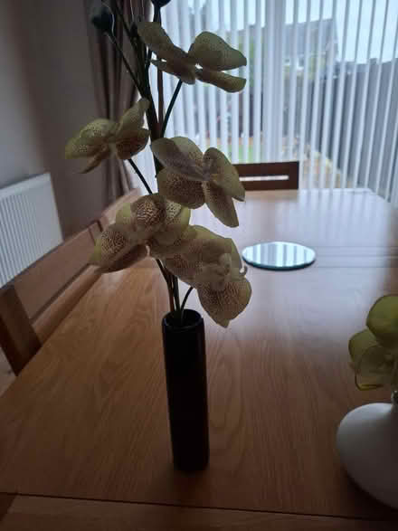 Photo of free Ornaments (CH49) #1