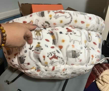 Photo of free Cozy cat bed (N. Stamford) #2