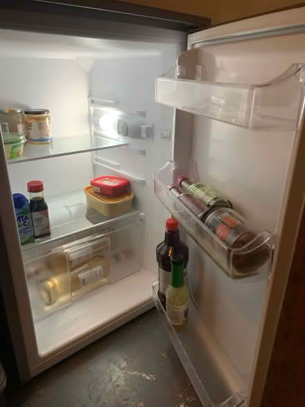 Photo of free Fridge (Harringay N4) #3