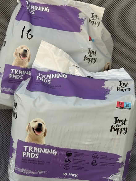 Photo of free Training pads (Downend BS16) #1