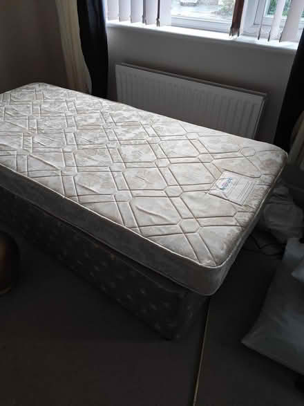 Photo of free Two single divan beds clean (SY6) #1