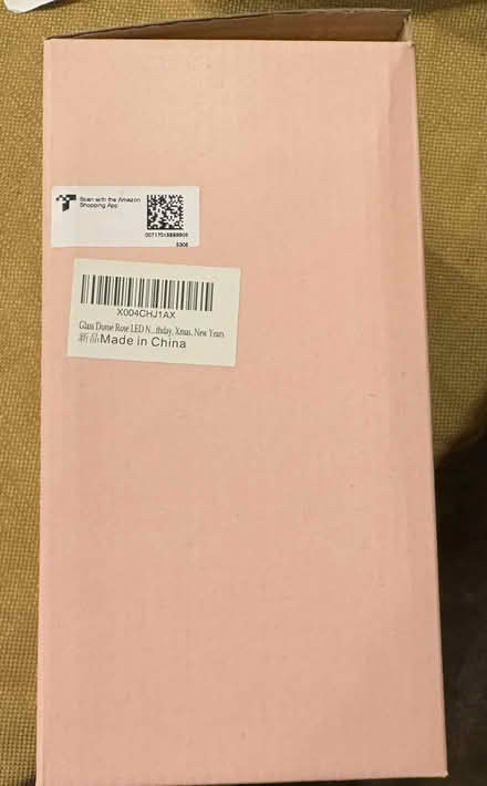 Photo of free LED rose in glass dome (Kenmore) #3