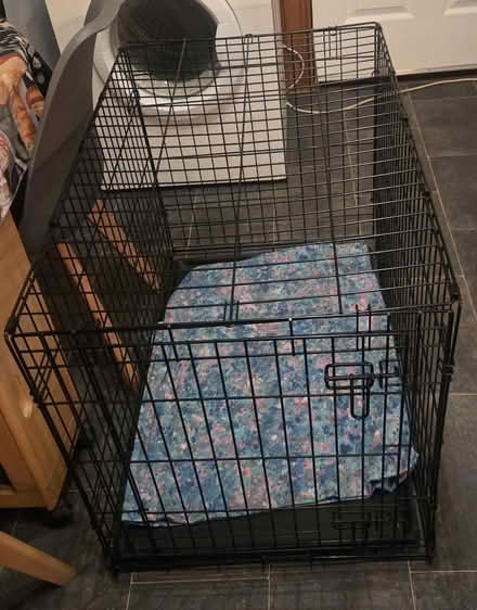 Photo of free Medium dog cage (Saint Ninians FK7) #1