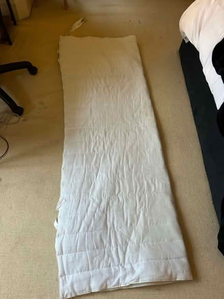 Photo of free Double bed mattress topper (London SW12) #1