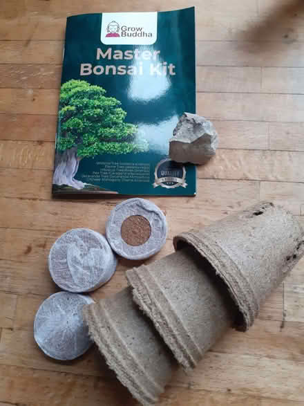 Photo of free Bonsai seeds (Slack Lane DE22) #2