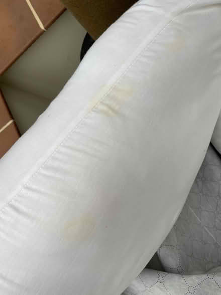 Photo of free Pregnancy pillows (ME13) #4