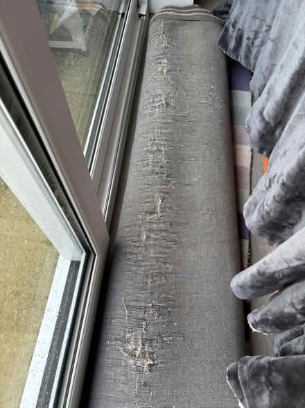 Photo of free Wool rug 170cmx240cm (Burgess Hill RH15) #2