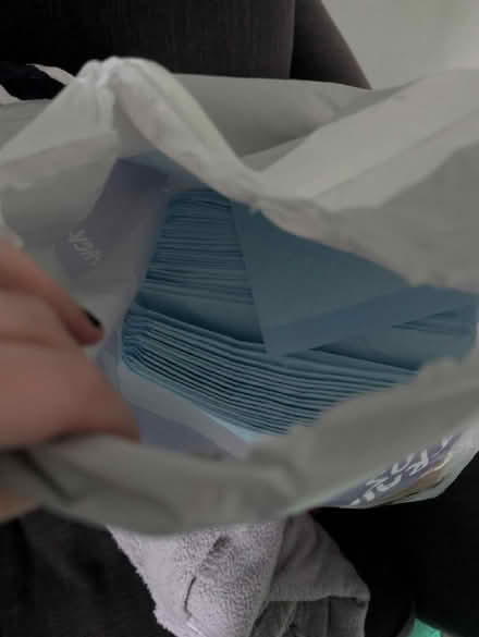 Photo of free Puppy pads (Kings Norton) #1