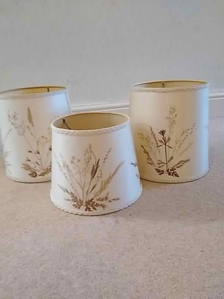 Photo of free Three lamp shades (Wrington BS40) #1