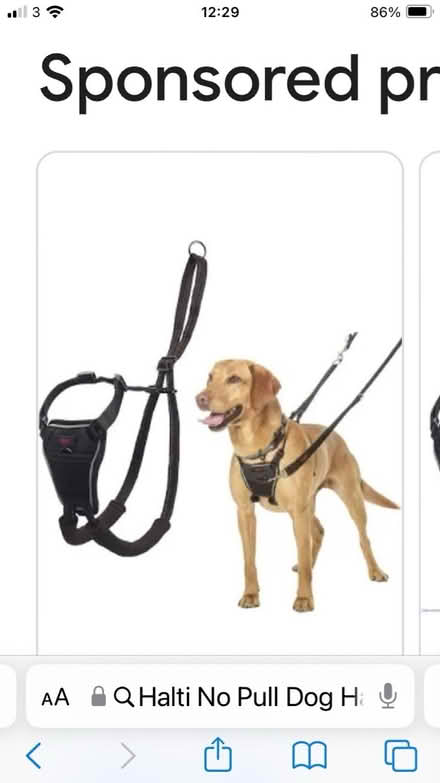 Photo of Halti no pull harness (Beaumont) #1