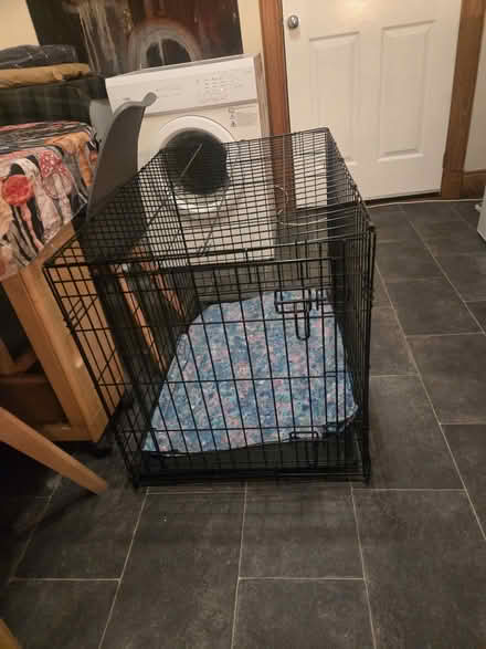 Photo of free Medium dog cage (Saint Ninians FK7) #3