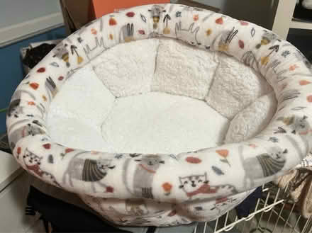 Photo of free Cozy cat bed (N. Stamford) #1