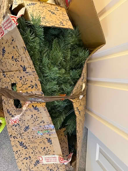 Photo of free 7ft Christmas tree (Eastbourne) #1