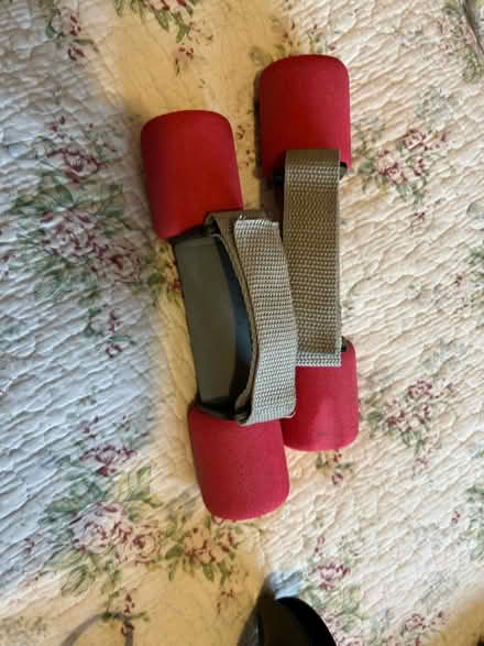 Photo of free Hand weights (Moorside M28) #1