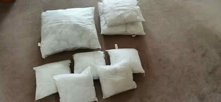 Photo of free 8 Cushion inserts (Heswall CH60) #1