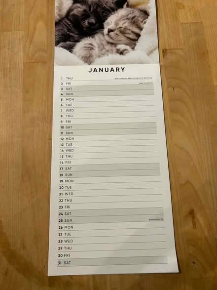 Photo of free Kitten calendar 2026 (Shenley Fields B29) #4
