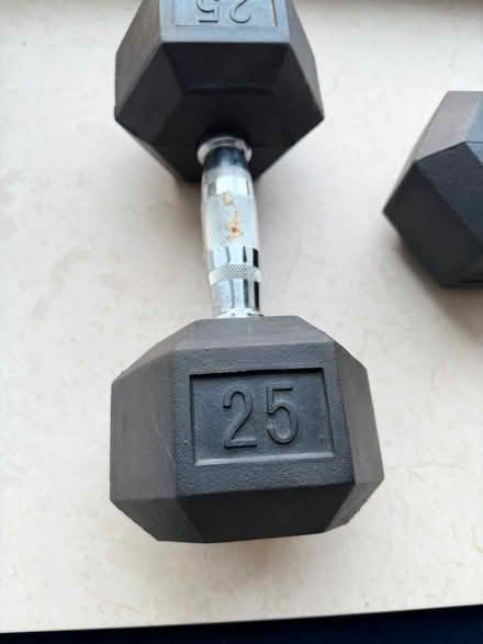 Photo of free 2 Twenty five pound weights (Upper West side. West 83.) #2