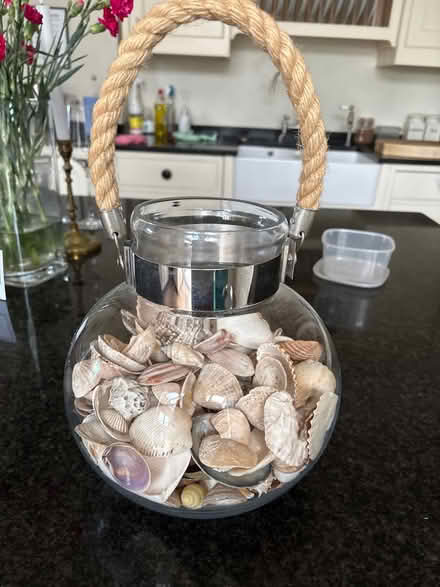 Photo of free Lots of shells (Limpley stoke BA2) #1