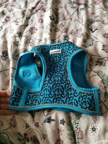 Photo of free Dog Harness (Robinswood GL4) #3