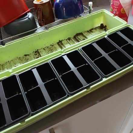 Photo of free Two seed propagators with lids (Bradford on Avon BA15) #1
