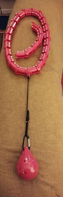 Photo of free Weighted Hula Hoop (Leith EH6) #1