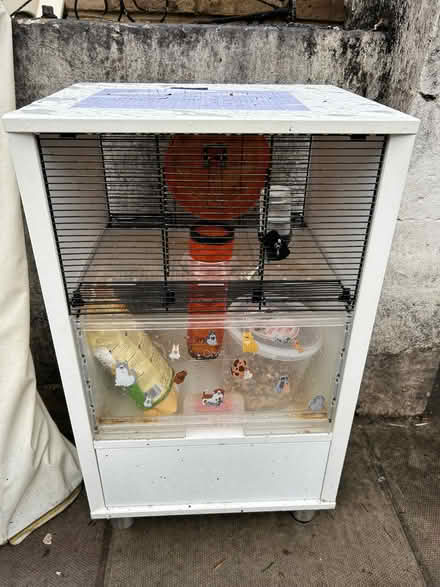 Photo of free Large Omlet hamster cage (Hackney E8) #2