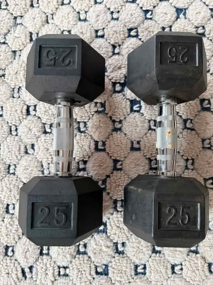 Photo of free 2 Twenty five pound weights (Upper West side. West 83.) #3