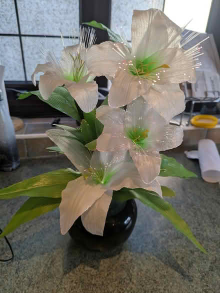 Photo of free Light up plant ornament (Sheffield S12) #1