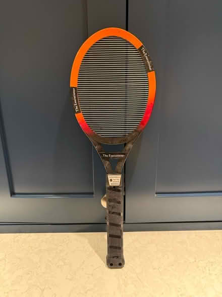 Photo of free Fly swat (Wooburn HP10) #1