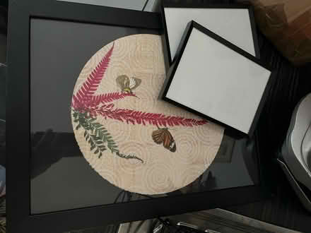 Photo of free Five picture frames (Cannonmills EH7) #1