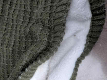 Photo of free Two throw blankets (Leedom, Ridley park) #1