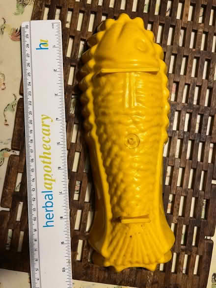 Photo of free fish jelly mould (Wanstead E11) #2