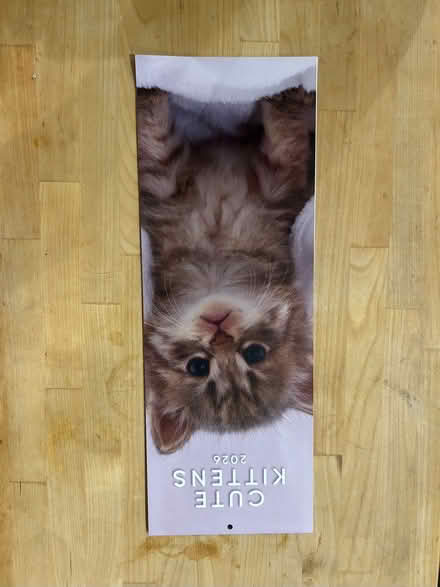 Photo of free Kitten calendar 2026 (Shenley Fields B29) #1