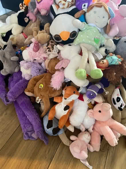 Photo of free Childrens Teddy Bundle 100+ (Horndon SS17) #3