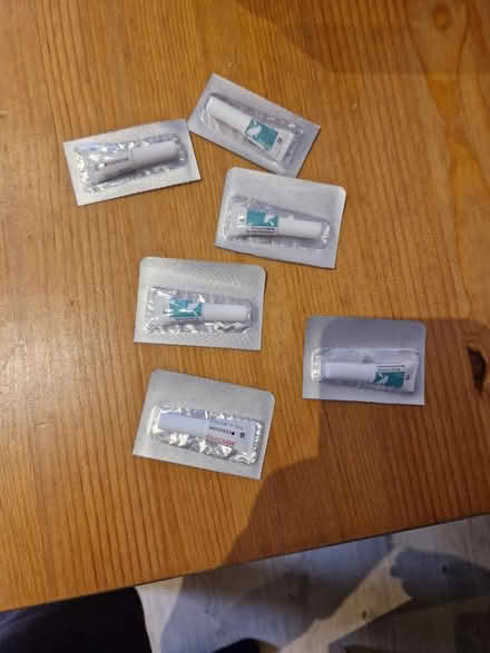 Photo of free Flea Treatment (Westbury Leigh BA13) #3