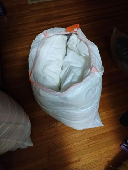 Photo of free 4 Pillows (NE Rochester, NY) #1