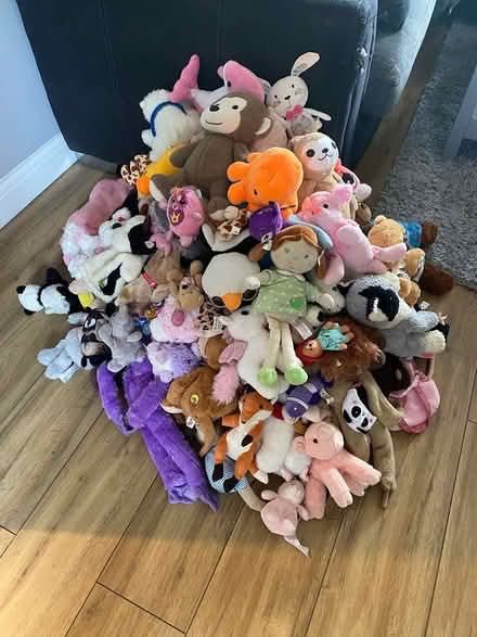 Photo of free Childrens Teddy Bundle 100+ (Horndon SS17) #1