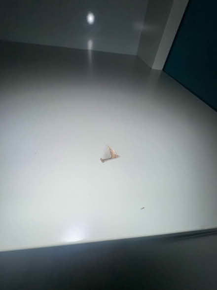 Photo of free IKEA children’s desk (Ashby de la zouch LE65) #3