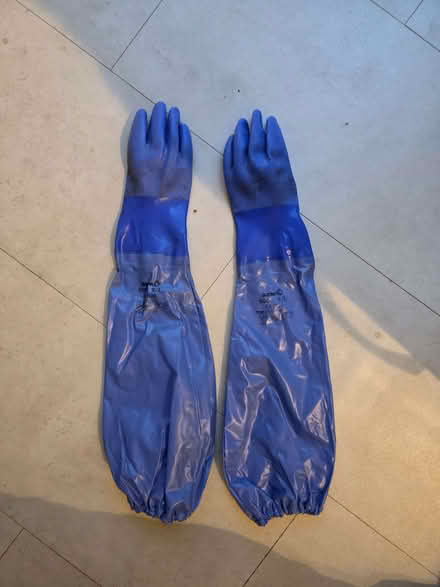 Photo of free Pair of pond gloves (Skipton BD23) #1