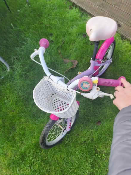 Photo of free Girls bike 3-6 (UB9) #3