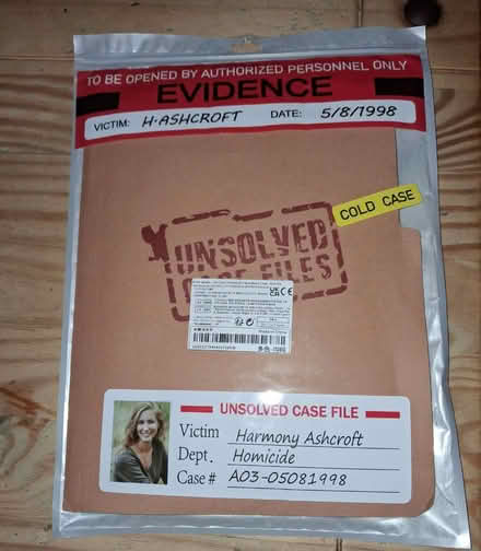 Photo of free Case file game (Bristol BS32) #1