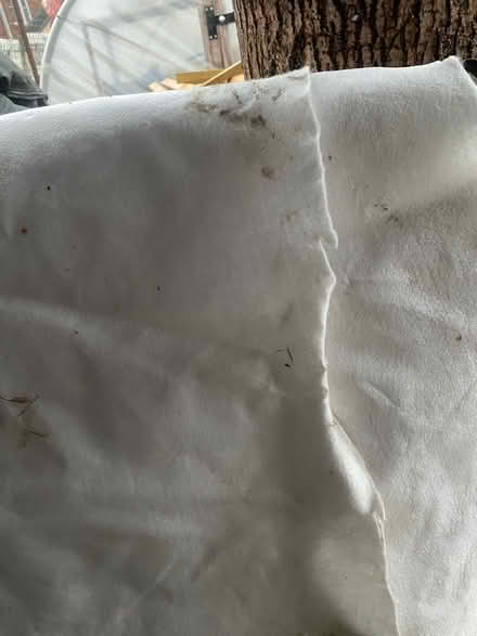 Photo of free Pond liner underlay off cuts (Lightpill GL5) #1