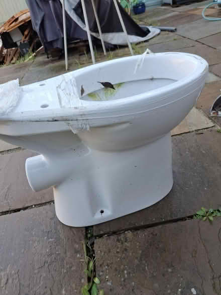 Photo of free New toilet (Collier Row RM5) #3