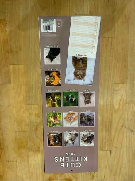 Photo of free Kitten calendar 2026 (Shenley Fields B29) #2