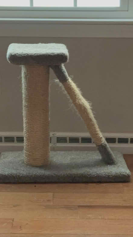 Photo of free Use scratch perch (dunstable) #1