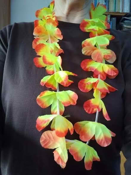 Photo of free Caribbean fancy dress accessory (Risinghurst OX3) #1