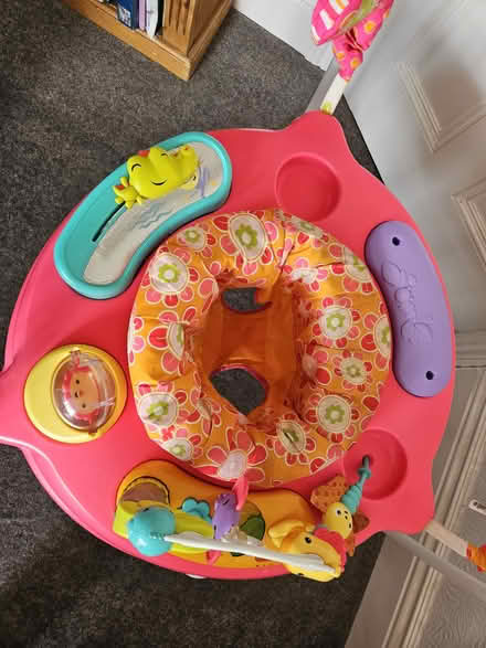 Photo of free Baby bouncer & baby walker (S6 Loxley) #3