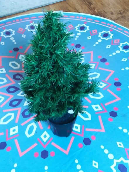 Photo of free Small light up Christmas tree (M34 Haughton Green) #1