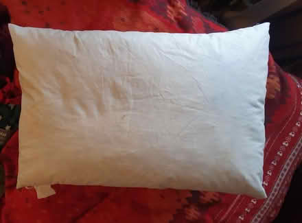 Photo of free Feather pillows (Chichester Lavant PO18) #3