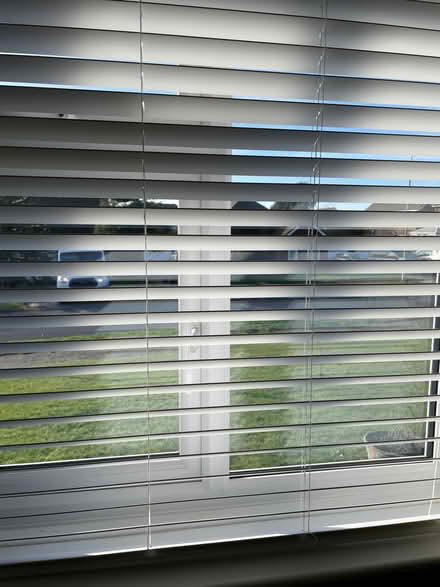 Photo of free Venetian blinds (Seaford BN25) #1